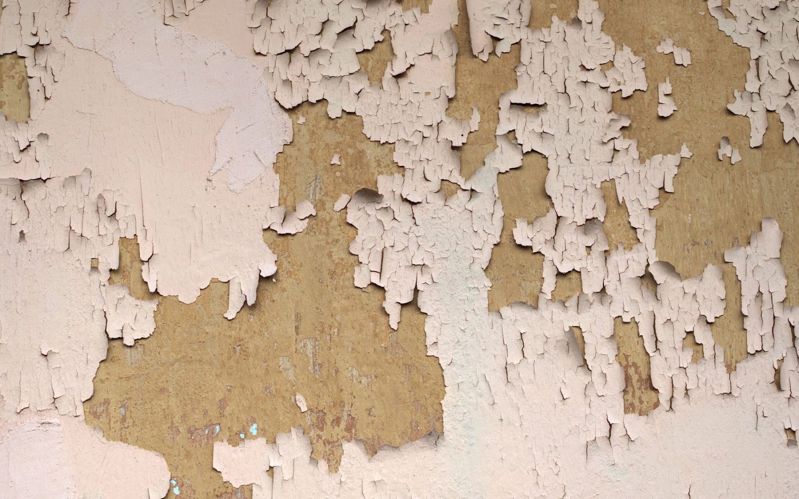 Alter Putz mit abblätternder Farbe an einer Wand